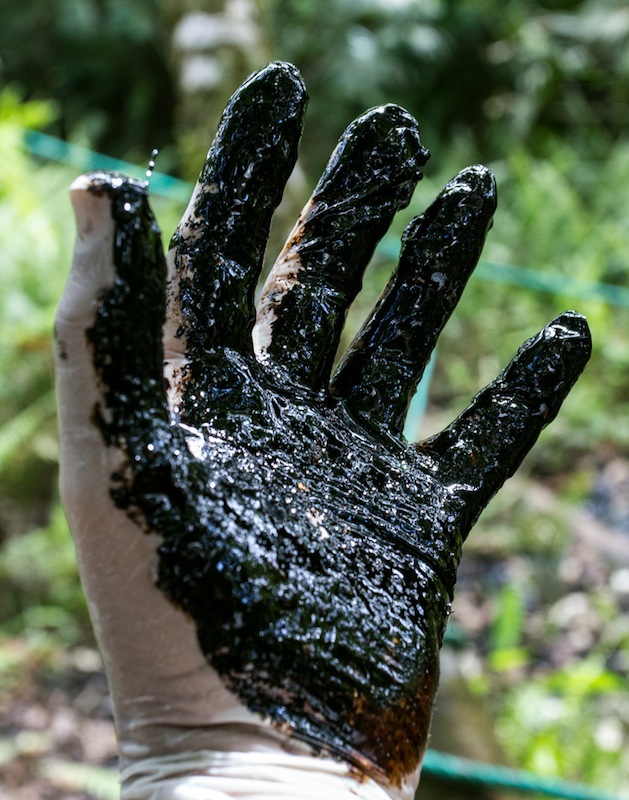La mano sucia de Chevron queda en evidencia