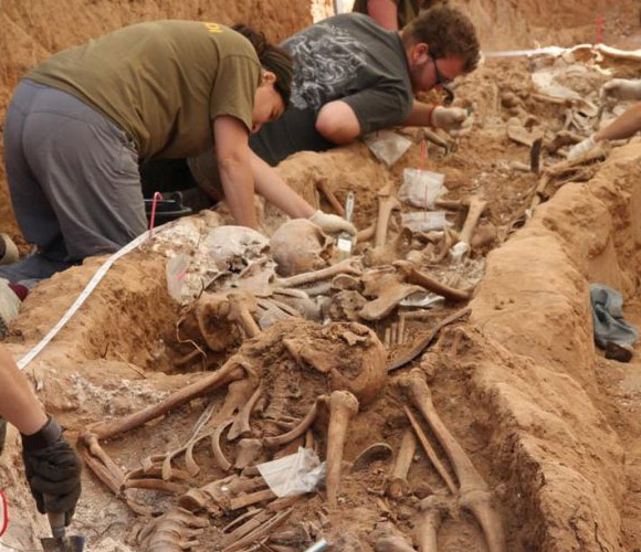 Los arqueólogos limpian minuciosamente los esqueletos hallados en una fosa en Gumiel de Izán (Burgos) con 59 cuerpos. Foto: El País