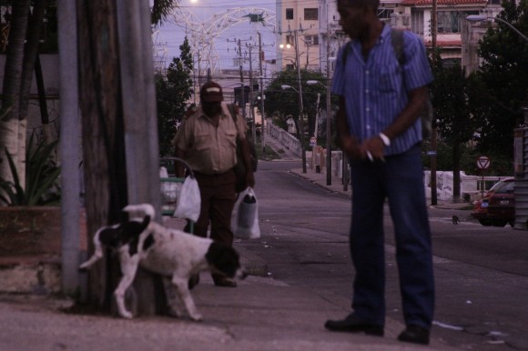 Evacuación matutina. Foto: Mónica Rivero/Cubadebate