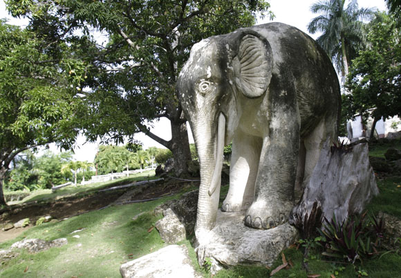 Elefante. Foto: Ismael Francisco/Cubadebate