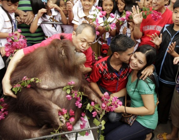 Una pareja posó junto a un orangután un día antes de la celebración del Día de San Valentín en el zoológico de Malabon en Filipinas. Foto: Francis R. Malasig / EFE 