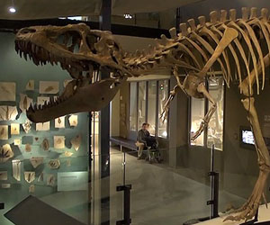 Foto: youtube.com / Natural History Museum of Utah,