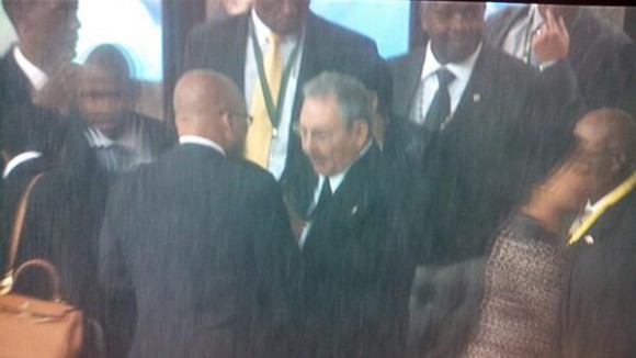 De espaldas, bajo una cortina de agua, el presidente de Sudafrica, Jacob Zuma. Foto: Twitter