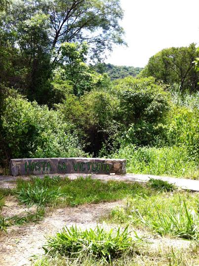 En medio de la semiselva de La quebrada del Churo, el sitio donde el Che tuvo su último combate, hay una pequeña plaza empedrada, en forma de estrella y cobijada por dos árboles de higo. Foto: Kaloian.