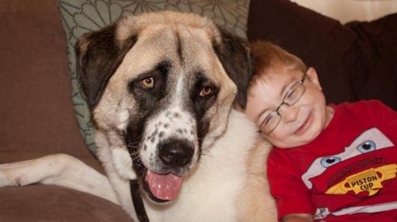 Increíble amistad entre un niño discapacitado y un perro de tres patas