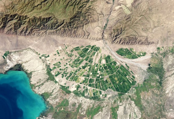  La operativa Land Imager ( OLI ) el Landsat 8 capturó esta vista de un abanico aluvial en la provincia de Almaty de Kazajistán el 9 de septiembre de 2013. El río Tente fluye por un canal estrecho en las estribaciones de la cordillera Dzungarian Alatau . Cuando el Tente emerge de las colinas cerca de Lake Alakol , se extiende y se convierte en una corriente trenzada. El movimiento del canal a través del tiempo ha dejado un gran ventilador que está a unos 20 km ( 12 millas ) de ancho en su punto más ancho. ( Imagen del Observatorio Terrestre de la NASA por Jesse Allen y Robert Simmon , usando datos de Landsat de los EE.UU. Geological Survey . Leyenda por Adam Voiland ) 