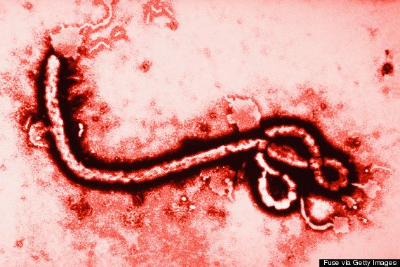 Establecen cadena de contagio en reciente caso de ébola en Liberia