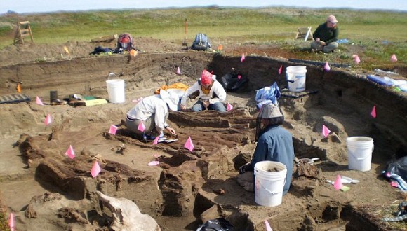 Arqueólogos trabajando en Rising Whale, Alaska. Foto: Universidad de Colorado