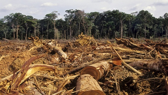 La deforestación o conversión forestal es un fenómeno difícil de medir, incluso mediante imágenes satelitales, y al mismo tiempo complicado debido a que las ganancias y pérdidas de bosque ocurren continuamente.