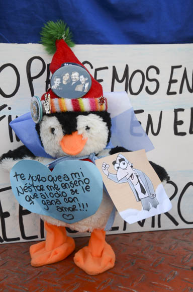 Un pingüino de peluche. Foto: Kaloian/Cubadebate.