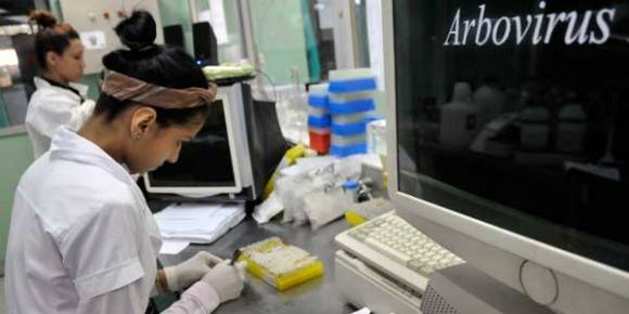 Investigadores del laboratorio de arbovirus del IPK ahondan en el estudio de las cepas cubanas aisladas durante las epidemias de dengue en busca de nuevas respuestas. Foto: LEYVA BENITEZ/ Bohemia