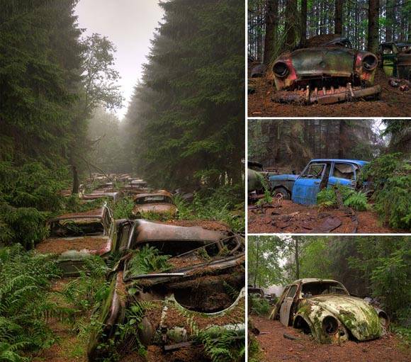 Automóviles abandonados en un bosque de Bélgica. Foto: @Rosanne de Lange.
